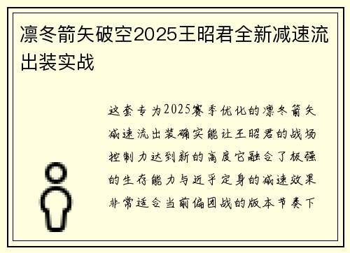 凛冬箭矢破空2025王昭君全新减速流出装实战
